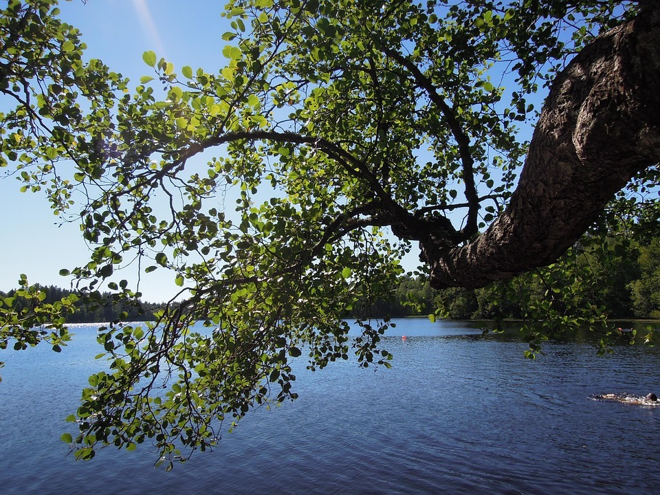 Juhannuskuva